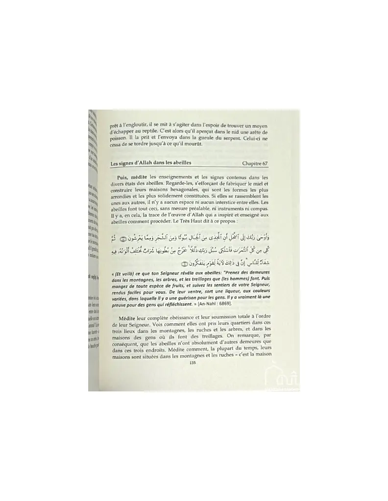 reflexions-sur-la-creation-ibn-al-qayyim (7).webp