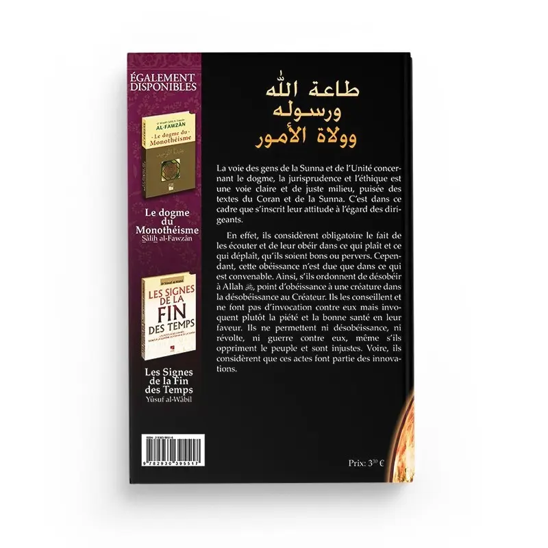 l-obeissance-a-allah-au-messager-et-aux-dirigeants-ibn-taymiyya-editions-al-hadith (1).webp