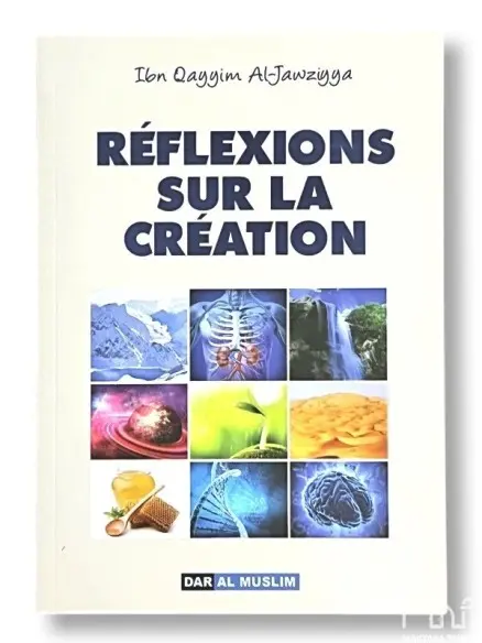 Réflexions sur la création