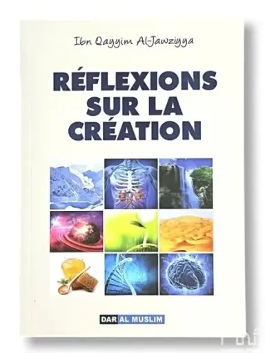 Réflexions sur la création